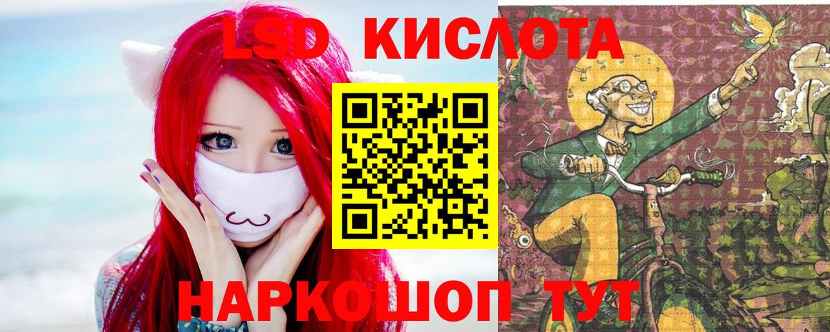 Новозыбков  LSD-25 экстази кислота  LSD-25 экстази кислота  LSD-25 экстази  Вход с VPN 