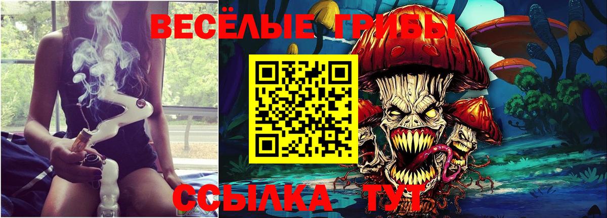 Галлюциногенные грибы MAGIC MUSHROOMS Новозыбков